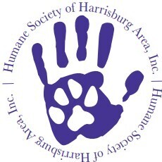 Team Page: HSHA Staff & Volunteers